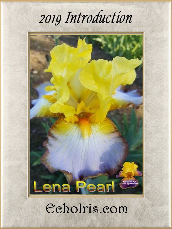 Lena Pearl